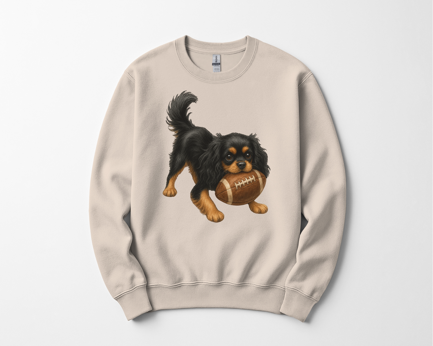 Black Tan Cavalier Football Sweatshirt