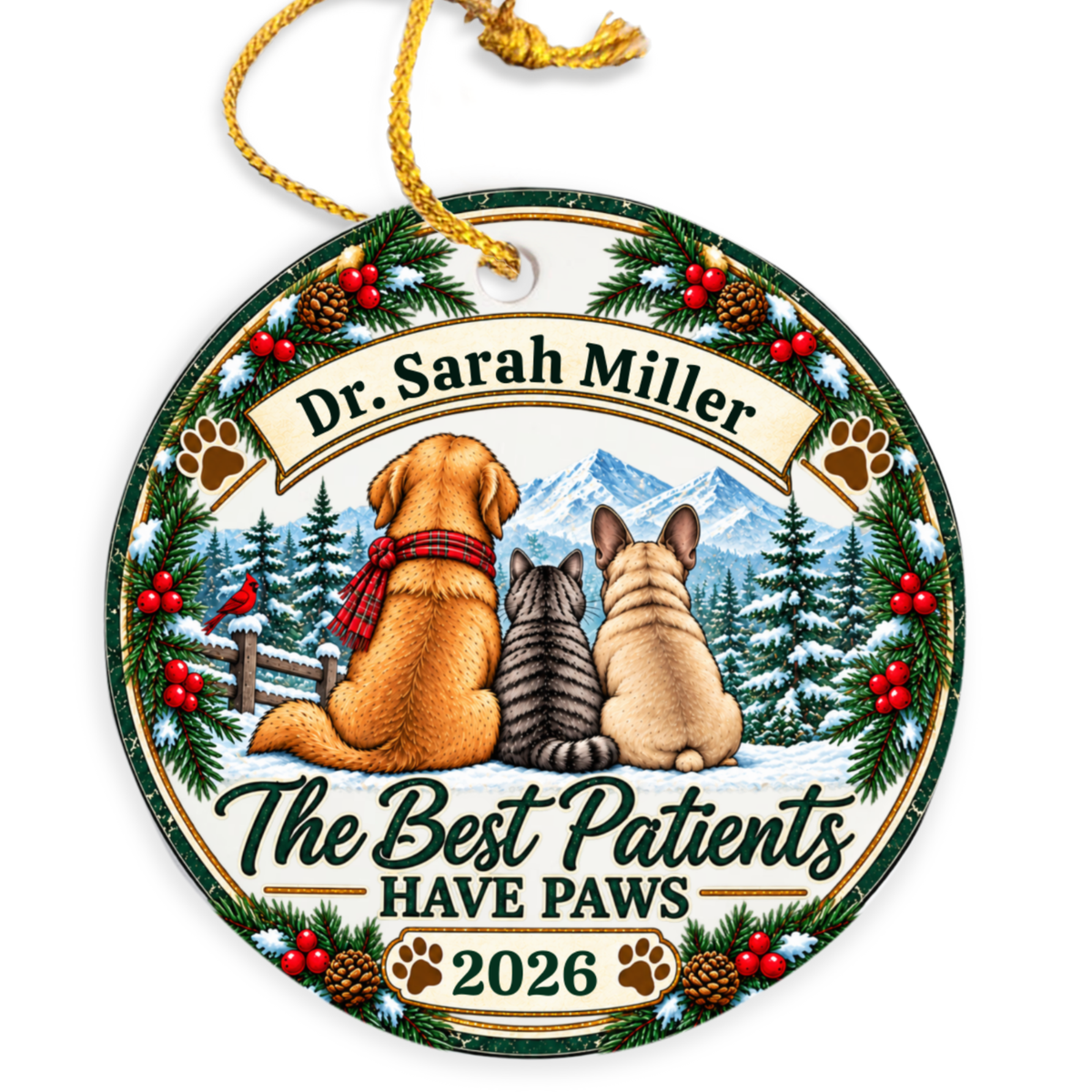 Personalized Veterinarian Ornament, Vet Christmas Gift, Best Vet Gift, Custom Pet Doctor Ornament