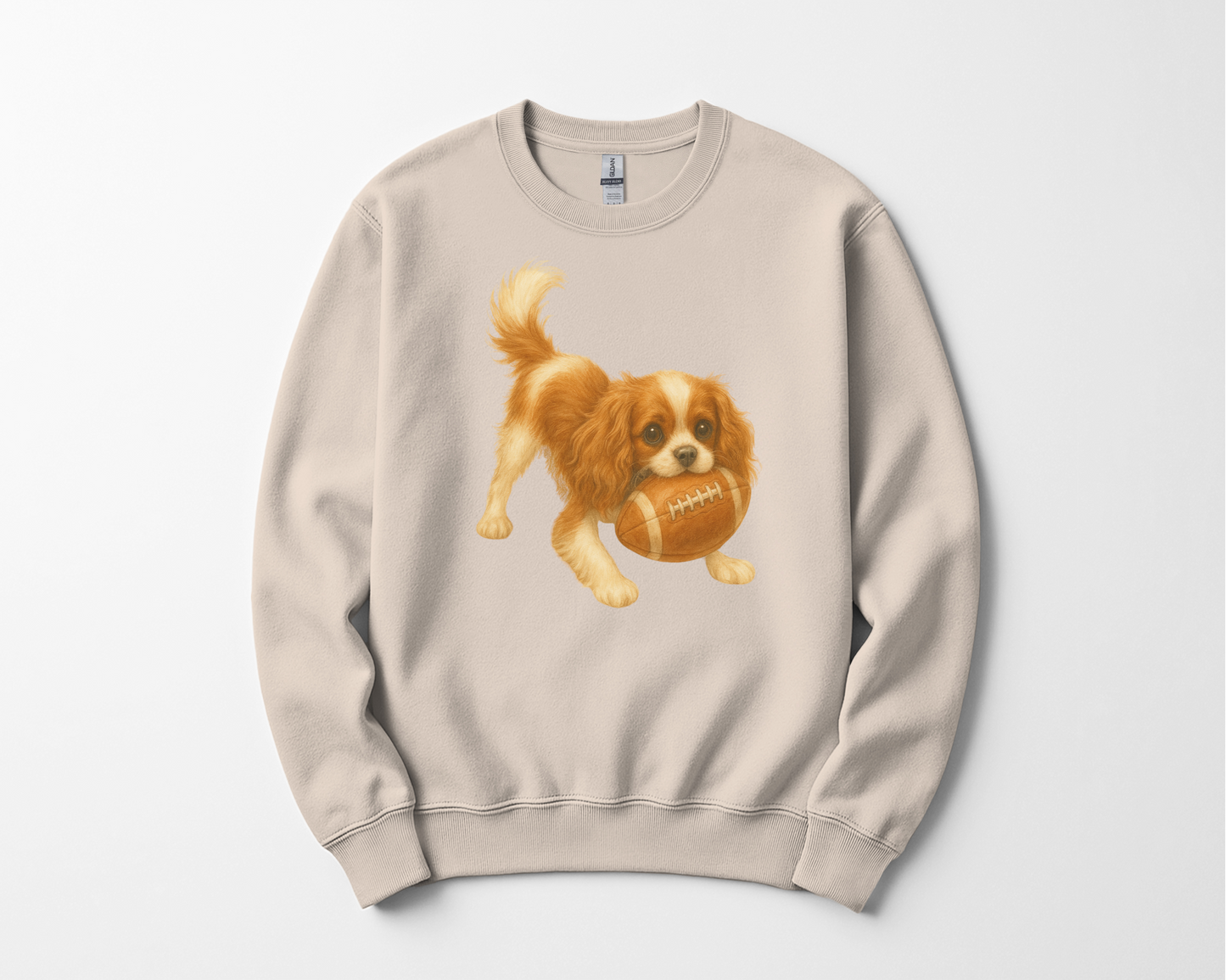 Blenheim Cavalier Football Sweatshirt
