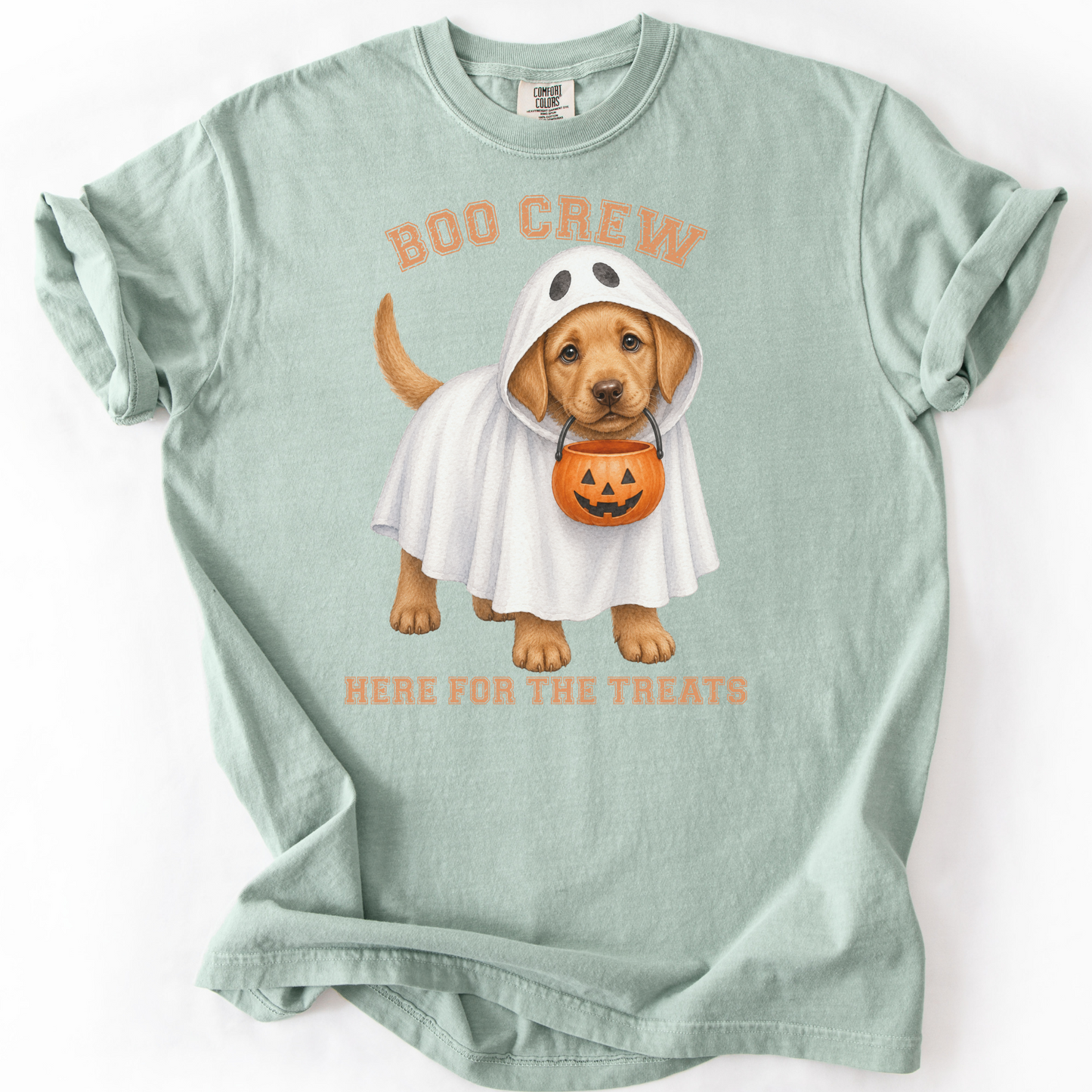 Fox Red Lab Boo Crew Halloween Shirt, Here for the Treats Dog Mom Tee
