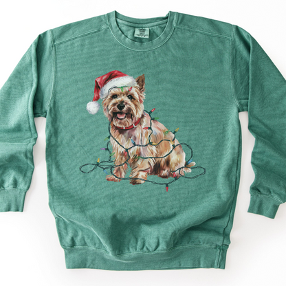Cairn Terrier Christmas Lights Sweatshirt