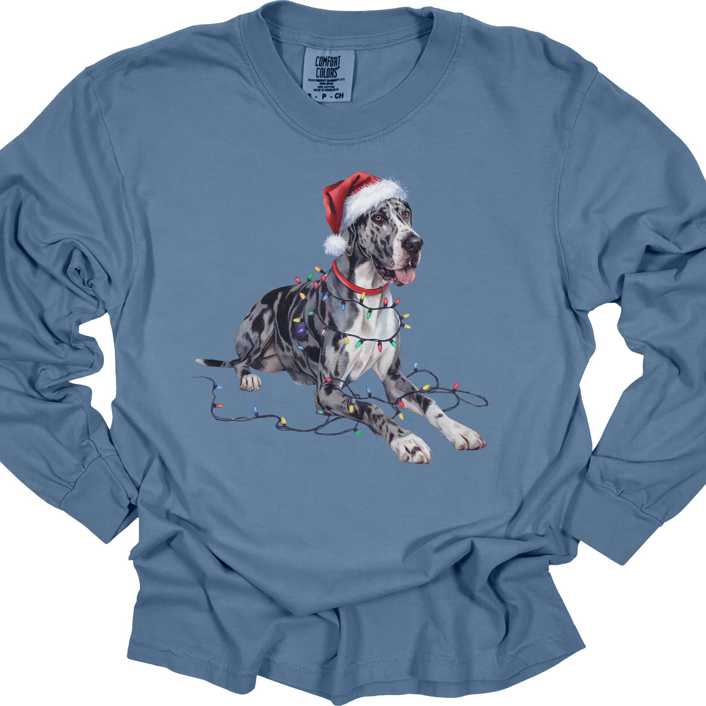 Great Dane Christmas Lights Long Sleeve Shirt, Dog Lover Holiday Top