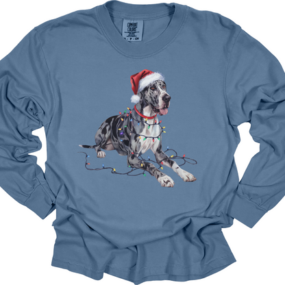 Great Dane Christmas Lights Long Sleeve Shirt, Dog Lover Holiday Top
