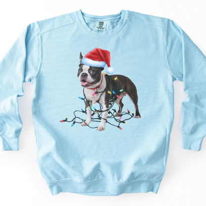 Boston Terrier Christmas Lights Sweatshirt