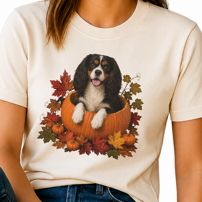 Tricolor Cavalier Pumpkin Shirt