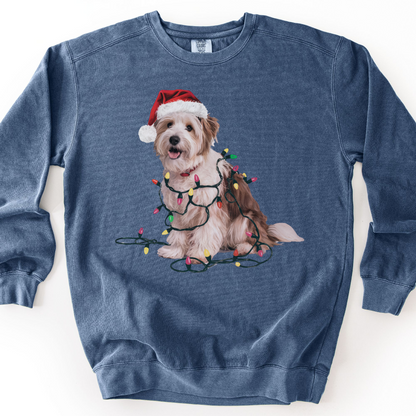 Coton De Tulear Christmas Lights Dog Sweatshirt