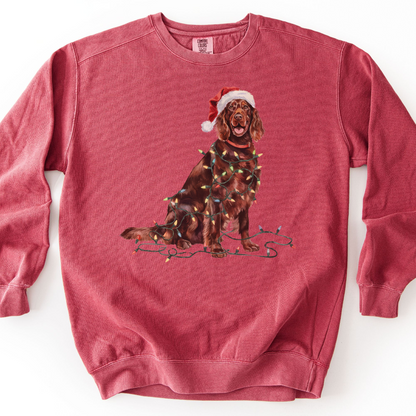 Irish Setter Christmas Lights Sweatshirt