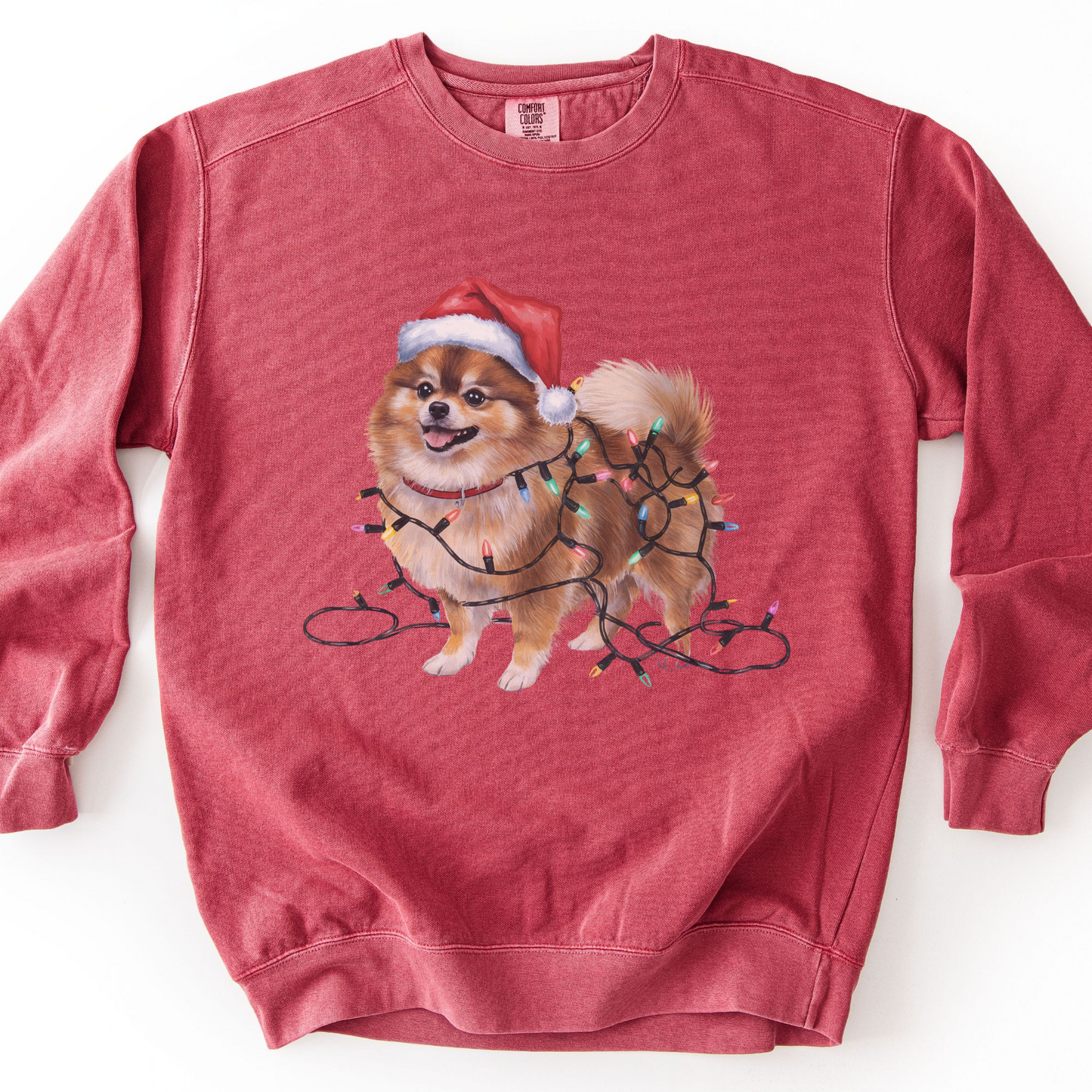 Pomeranian Christmas Lights Sweatshirt, Festive Dog Mom Sweater