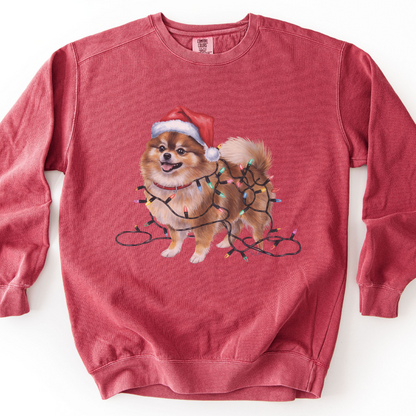 Pomeranian Christmas Lights Sweatshirt, Festive Dog Mom Sweater