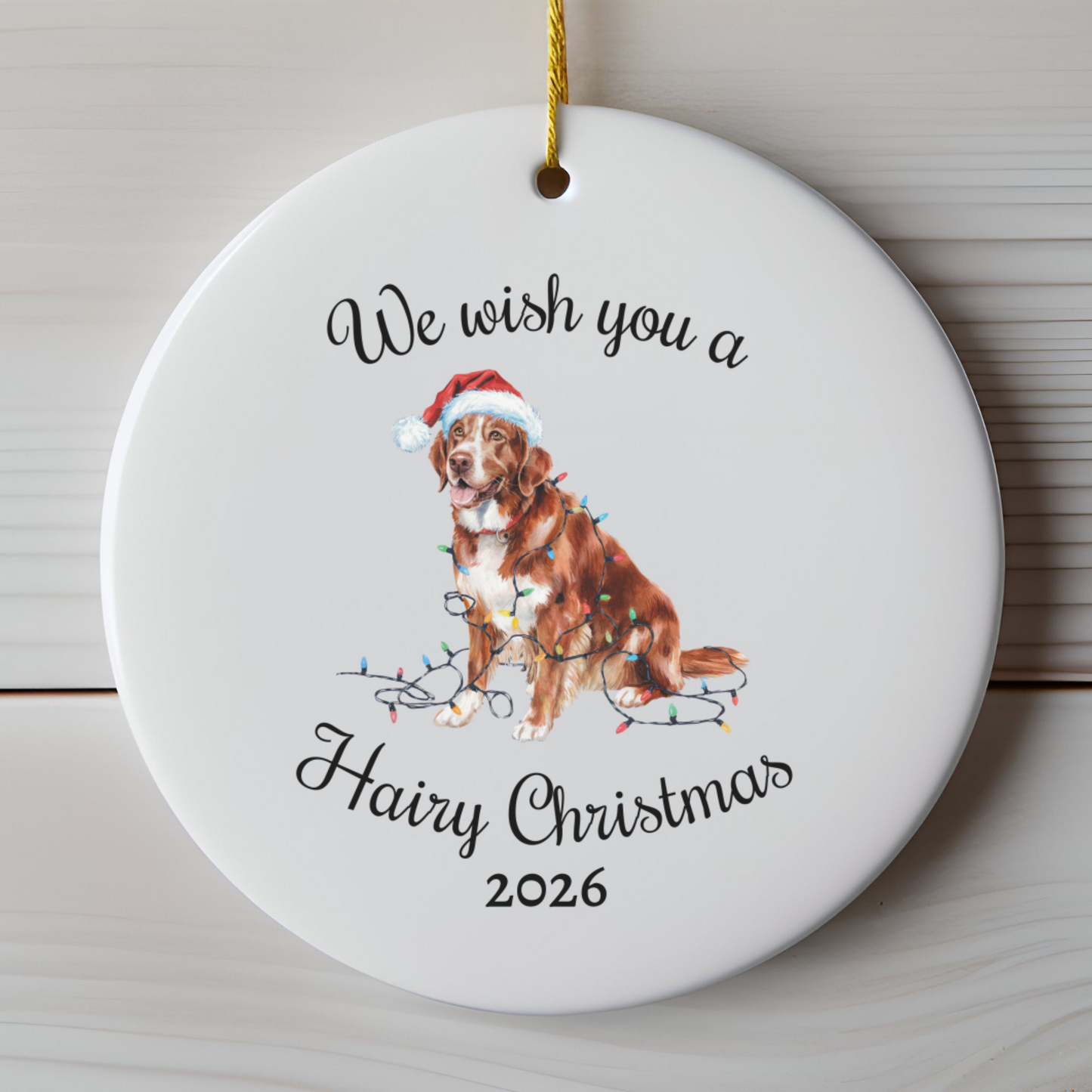 Christmas Nova Scotia Duck Tolling Retriever Ornament, Christmas Lights Dog Keepsake
