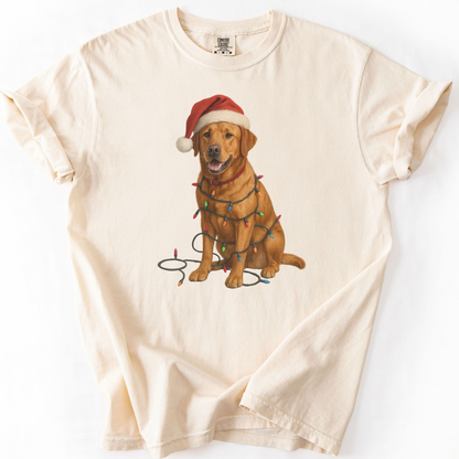 Fox Red Labrador Christmas Lights Shirt