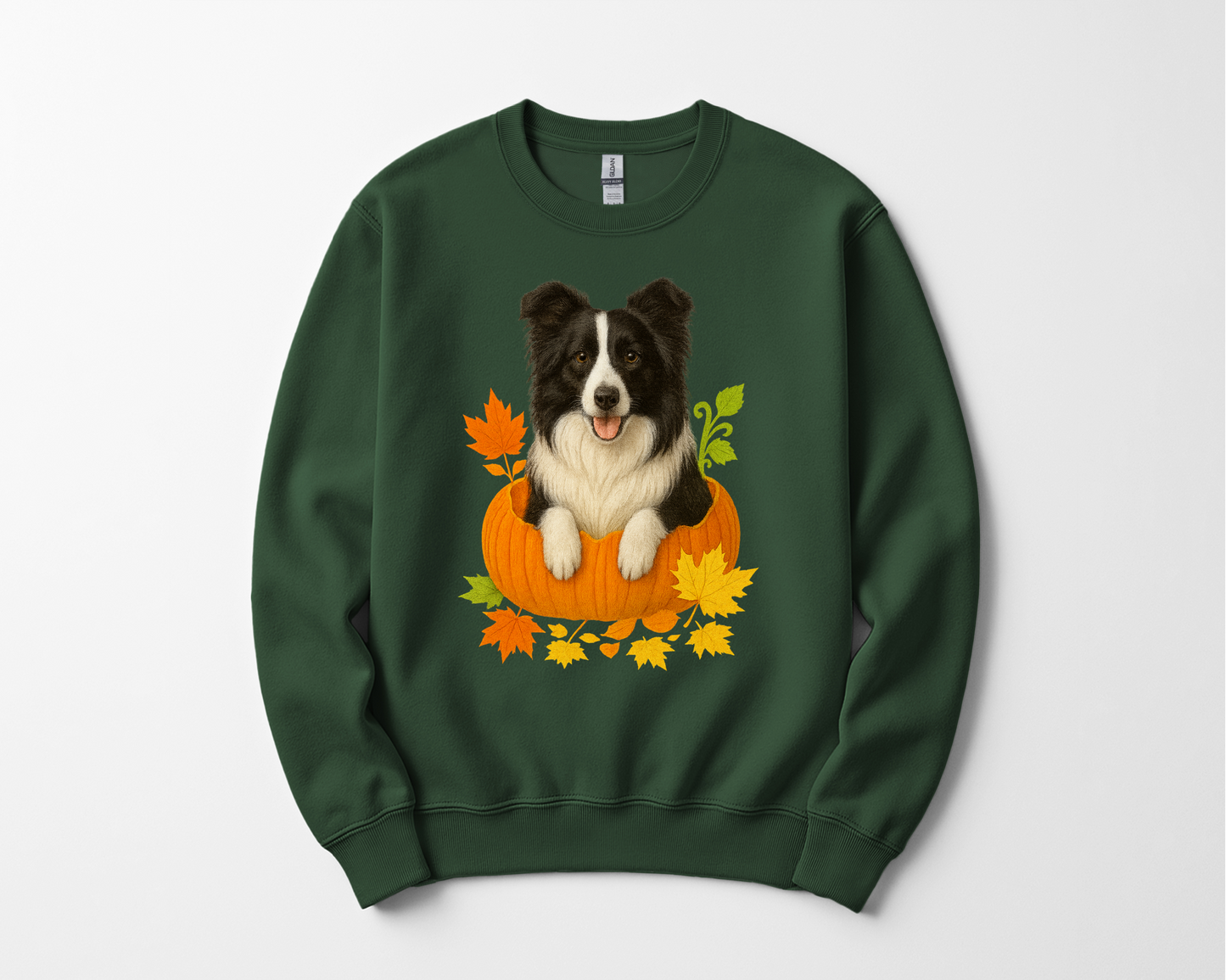 Border Collie in Pumpkin Fall Shirt