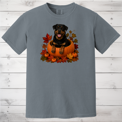 Rottweiler Pumpkin Shirt