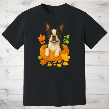 Boston Terrier Pumpkin Shirt