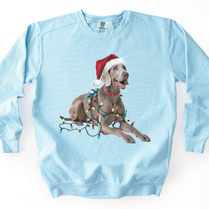 Weimaraner Christmas Lights Sweatshirt, Festive Dog Holiday Apparel