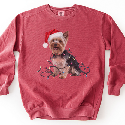 Christmas Yorkshire Terrier Sweatshirt, Festive Dog Lights, Yorkie Mom Holiday Apparel