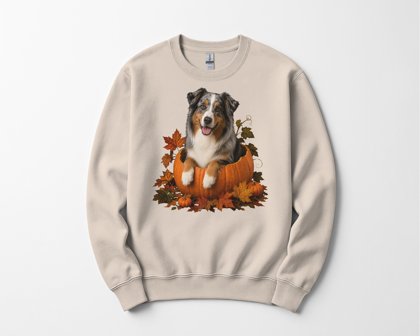 Australian Shepherd Pumpkin Sweatshirt Fall Dog Lover Autumn Puppy Crewneck Cozy Gift Pullover Apparel