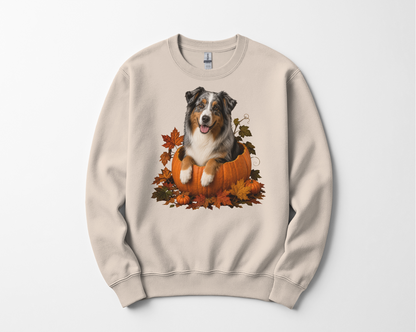 Australian Shepherd Pumpkin Sweatshirt Fall Dog Lover Autumn Puppy Crewneck Cozy Gift Pullover Apparel