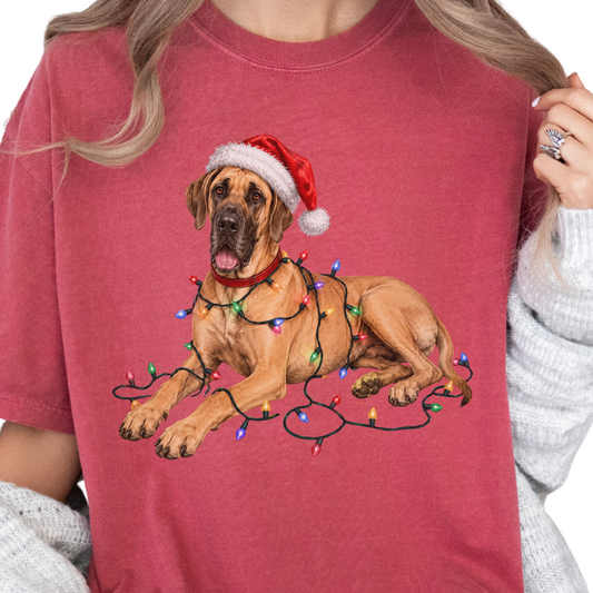 Fawn Great Dane Christmas Lights Shirt