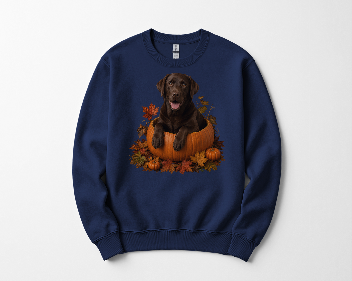 Chocolate Lab Pumpkin Sweatshirt Fall Dog Lover Autumn Labrador Cozy Crewneck Gift Pullover Apparel