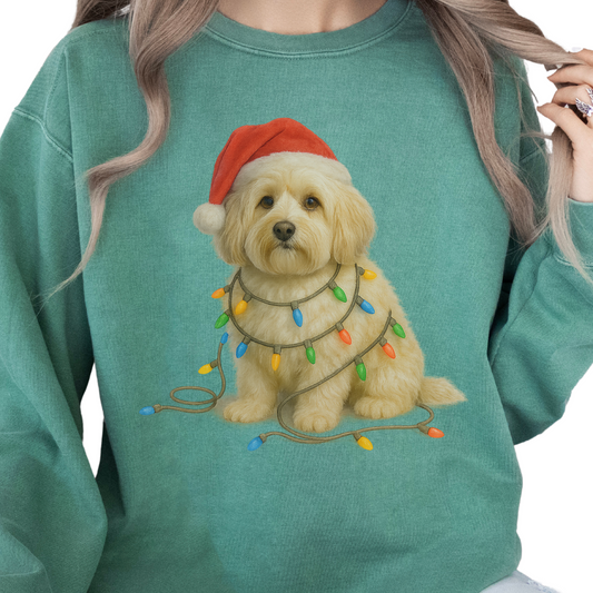 Havanese Christmas Lights Sweatshirt