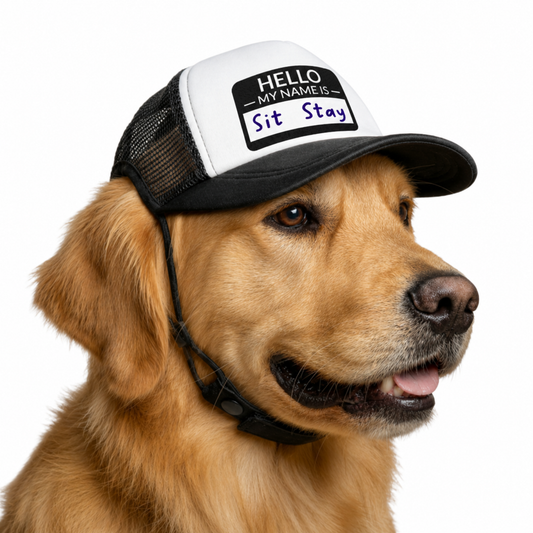 Funny Hello My Name Is Sit Stay Dog Trucker Hat Puppy Cap Gift