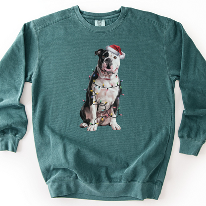 American Bulldog Christmas Lights Sweatshirt, Festive Dog Lover Gift