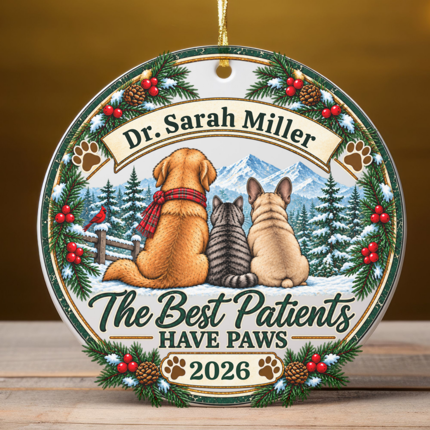 Personalized Veterinarian Ornament, Vet Christmas Gift, Best Vet Gift, Custom Pet Doctor Ornament