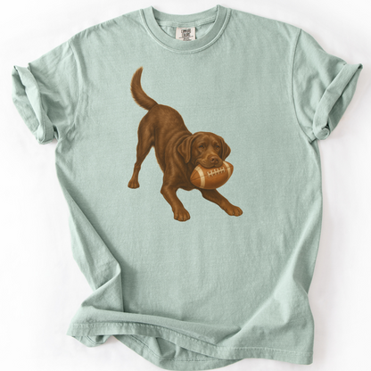 Chocolate Lab Football Shirt