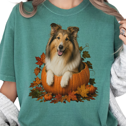 Collie in Pumpkin Fall Shirt, Cute Autumn Dog Tee for Rough Collie Lovers