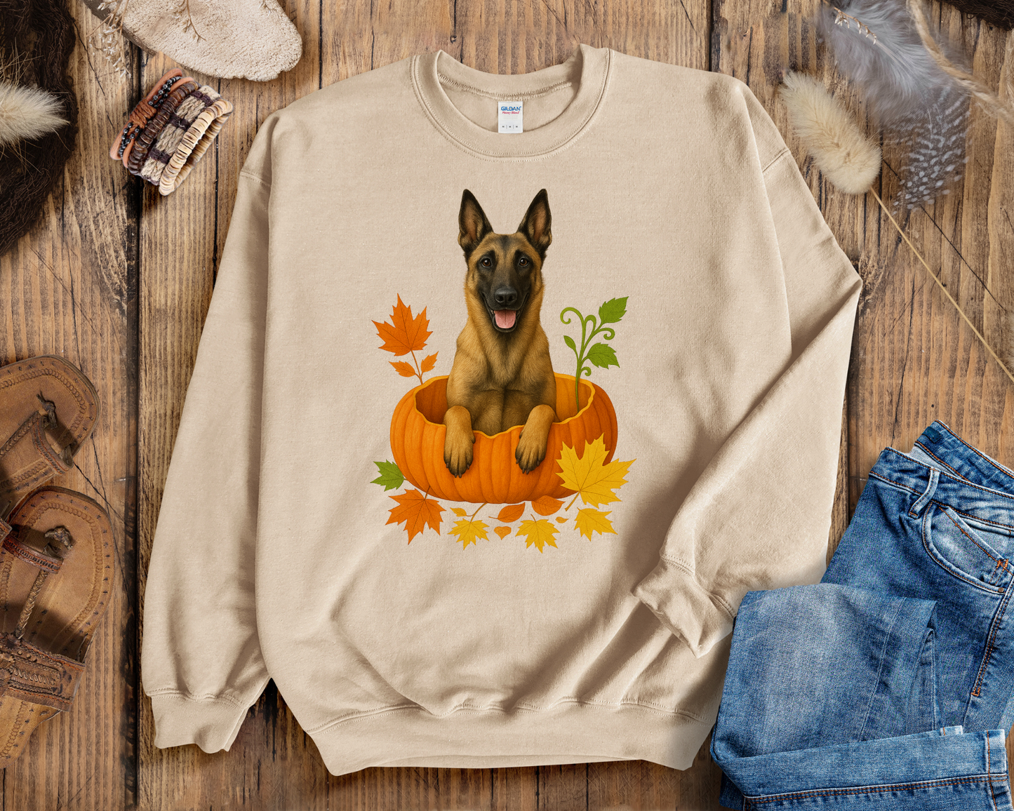 Belgian Malinois in Pumpkin Fall Shirt