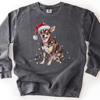 Black Chihuahua Christmas Lights Sweatshirt