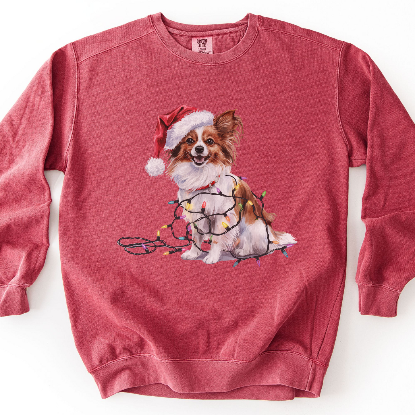 Papillon Christmas Lights Dog Sweatshirt, Festive Holiday Dog Lover Gift