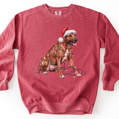Rhodesian Ridgeback Christmas Lights Dog Sweatshirt, Festive Holiday Pet Lover Gift