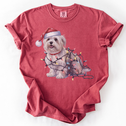 Maltese Christmas Lights Shirt, Festive Holiday Tee for Small Dog Lovers