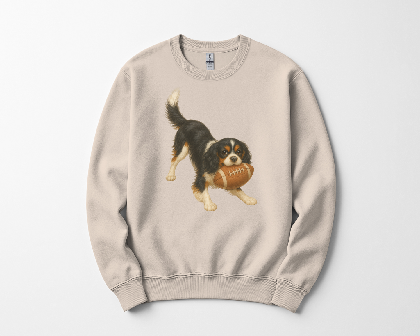 Tri-Color Cavalier King Charles Spaniel Football Sweatshirt