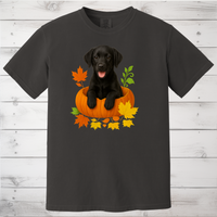 Load image into Gallery viewer, Black Lab in Pumpkin Fall Dog Lover Shirt
