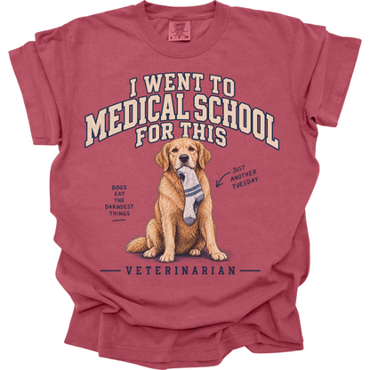 Funny Veterinarian Shirt, Vet Gift, Veterinary Medicine Tee, Dog Doctor Humor, Vet School Shirt