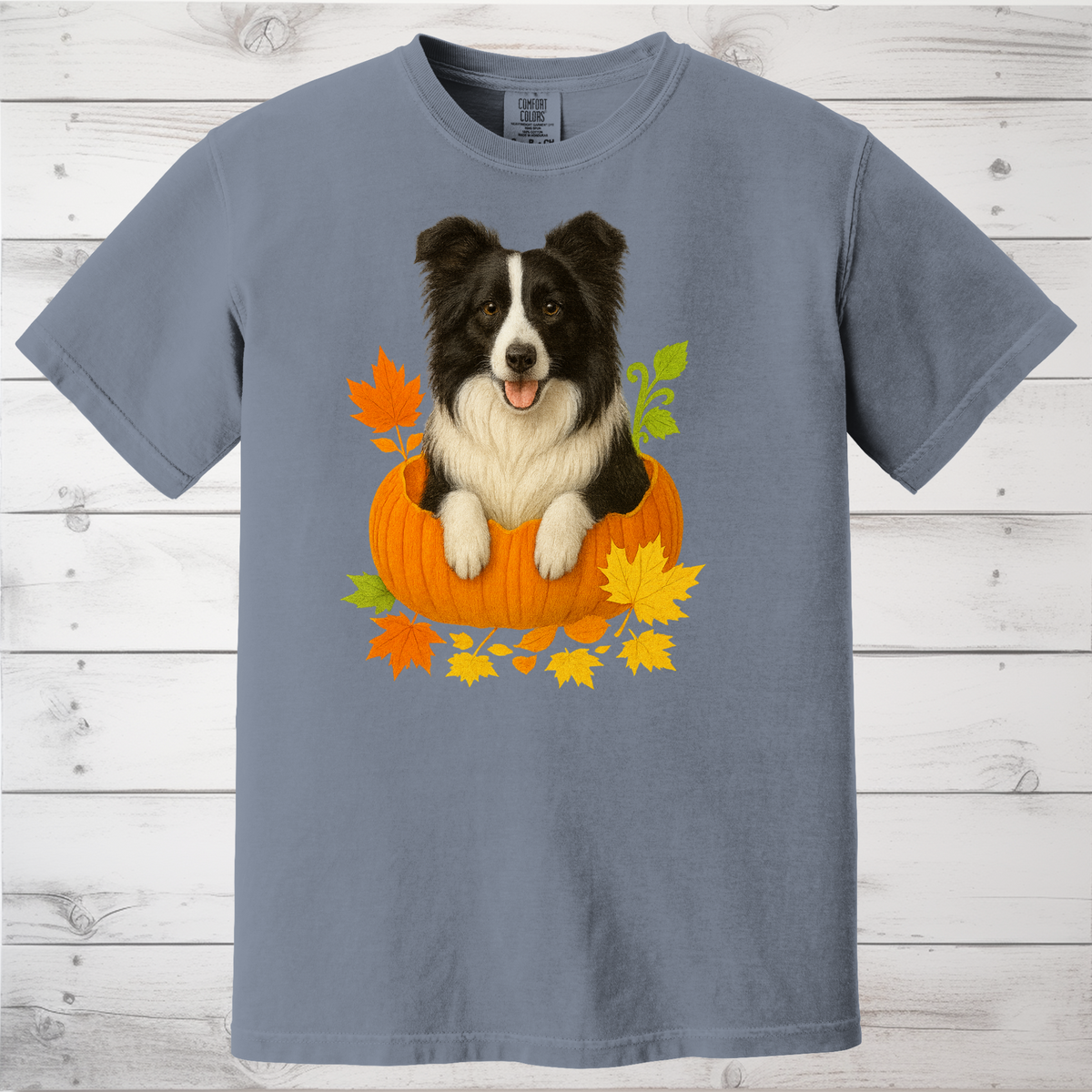 Border Collie in Pumpkin Fall Shirt