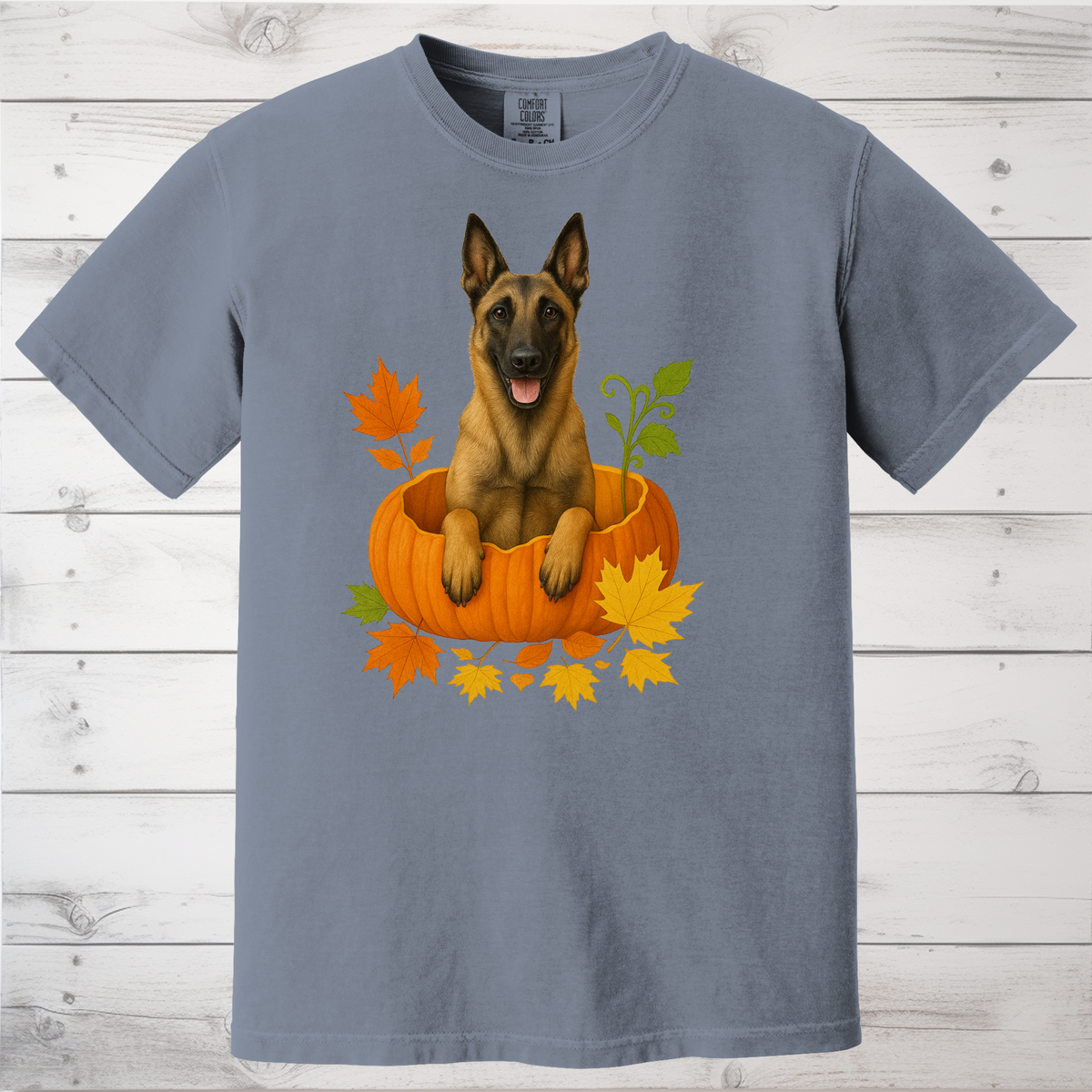 Belgian Malinois in Pumpkin Fall Shirt