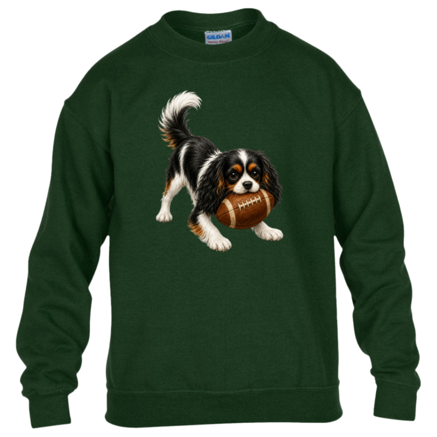 Tricolor Cavalier King Charles Spaniel Football Youth Sweatshirt, Kids Dog Lover Football Crewneck