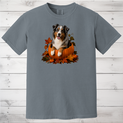 Australian Shepherd Pumpkin Shirt