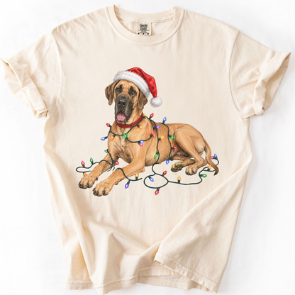 Fawn Great Dane Christmas Lights Shirt