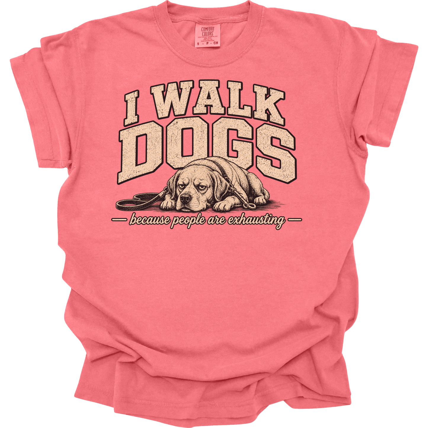 Dog Walker Shirt, I Walk Dogs Tee, Funny Dog Walker Gift, Introvert Dog Shirt