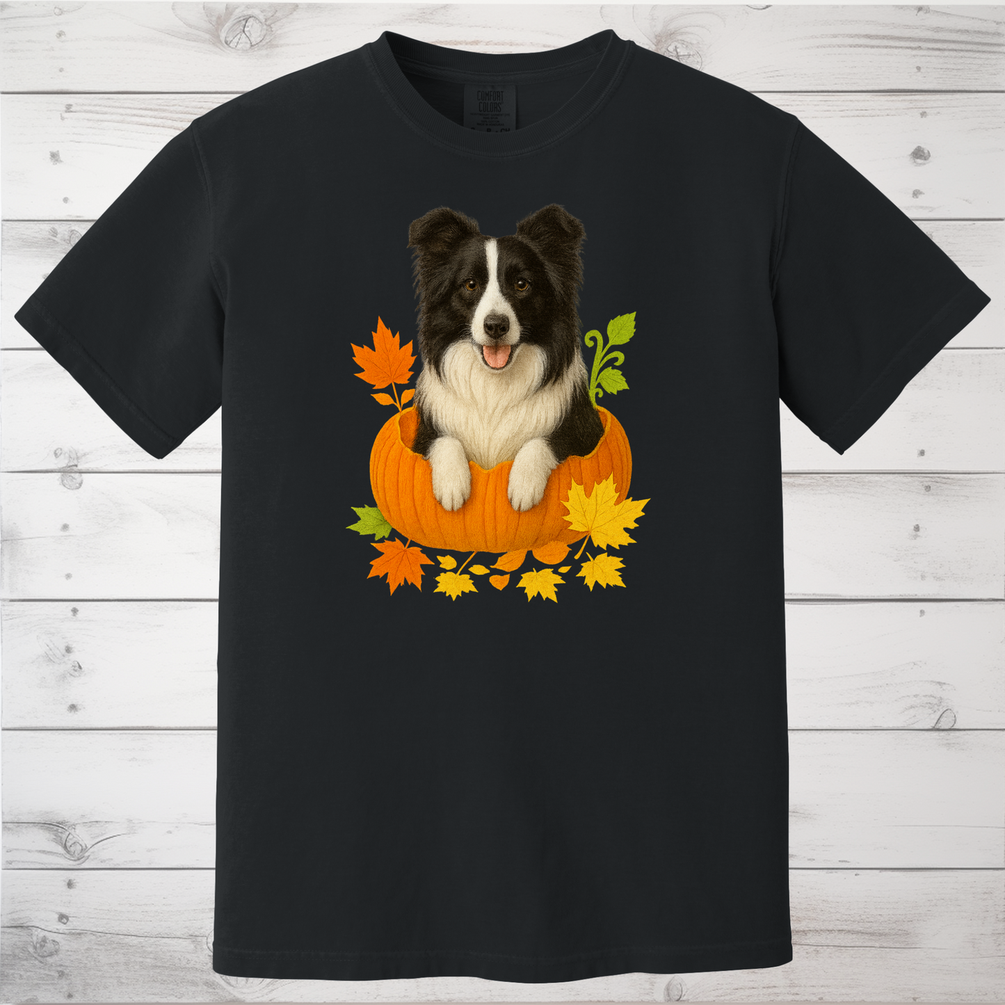 Border Collie in Pumpkin Fall Shirt