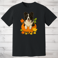Load image into Gallery viewer, Border Collie in Pumpkin Fall Shirt

