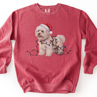 Christmas Bichon Frise Sweatshirt, Holiday Lights Dog Sweater, Bichon Mom Gift