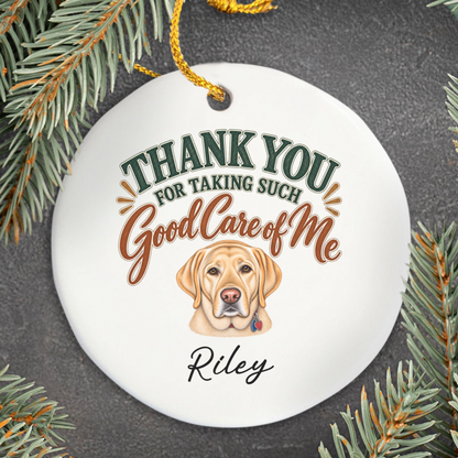 Personalized Veterinarian Ornament, Thank You Vet Gift From Dog, Custom Pet Name Keepsake
