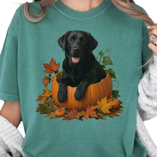 Black Lab Pumpkin Shirt Fall Dog Lover Autumn Labrador Comfort Colors Graphic Tee Gift Apparel