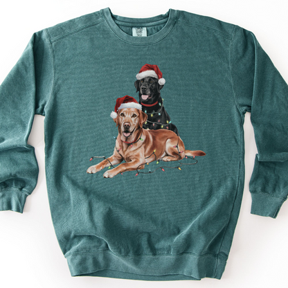 Black and Fox Red Labs Christmas Lights Sweatshirt